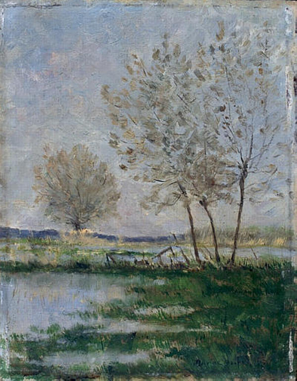 Flooded meadows Maxime Maufra tablo - Dekolata