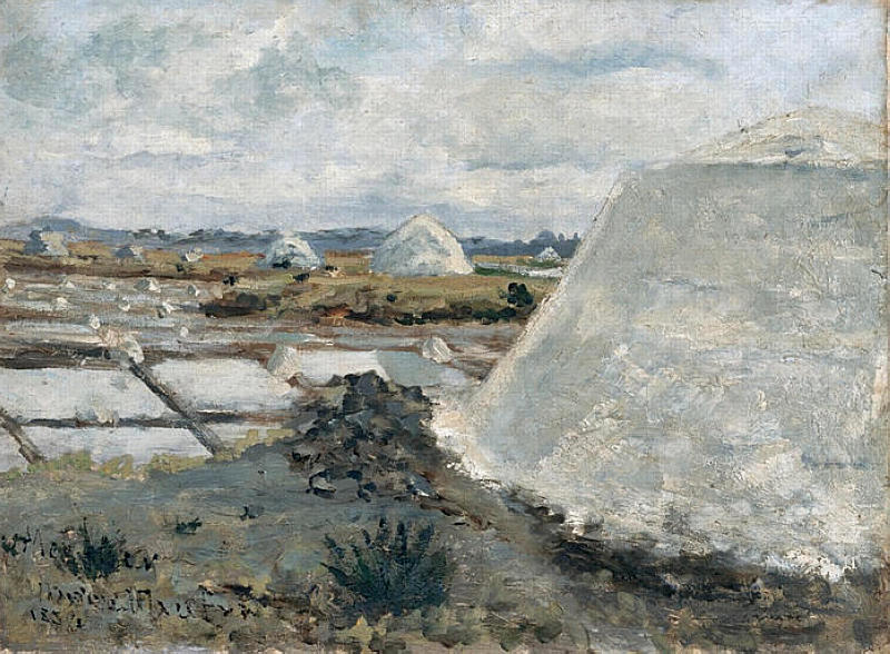 Salt evaporation pond Maxime Maufra tablo - Dekolata