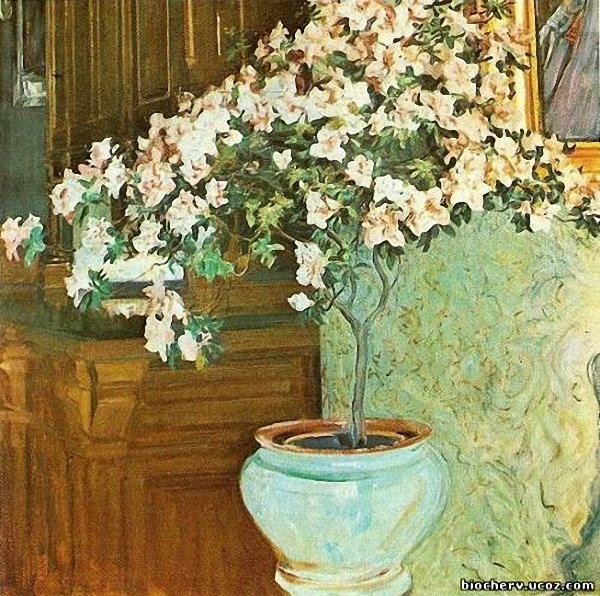 Azalea (1914) Oleksa Novakivskyi tablo - Dekolata