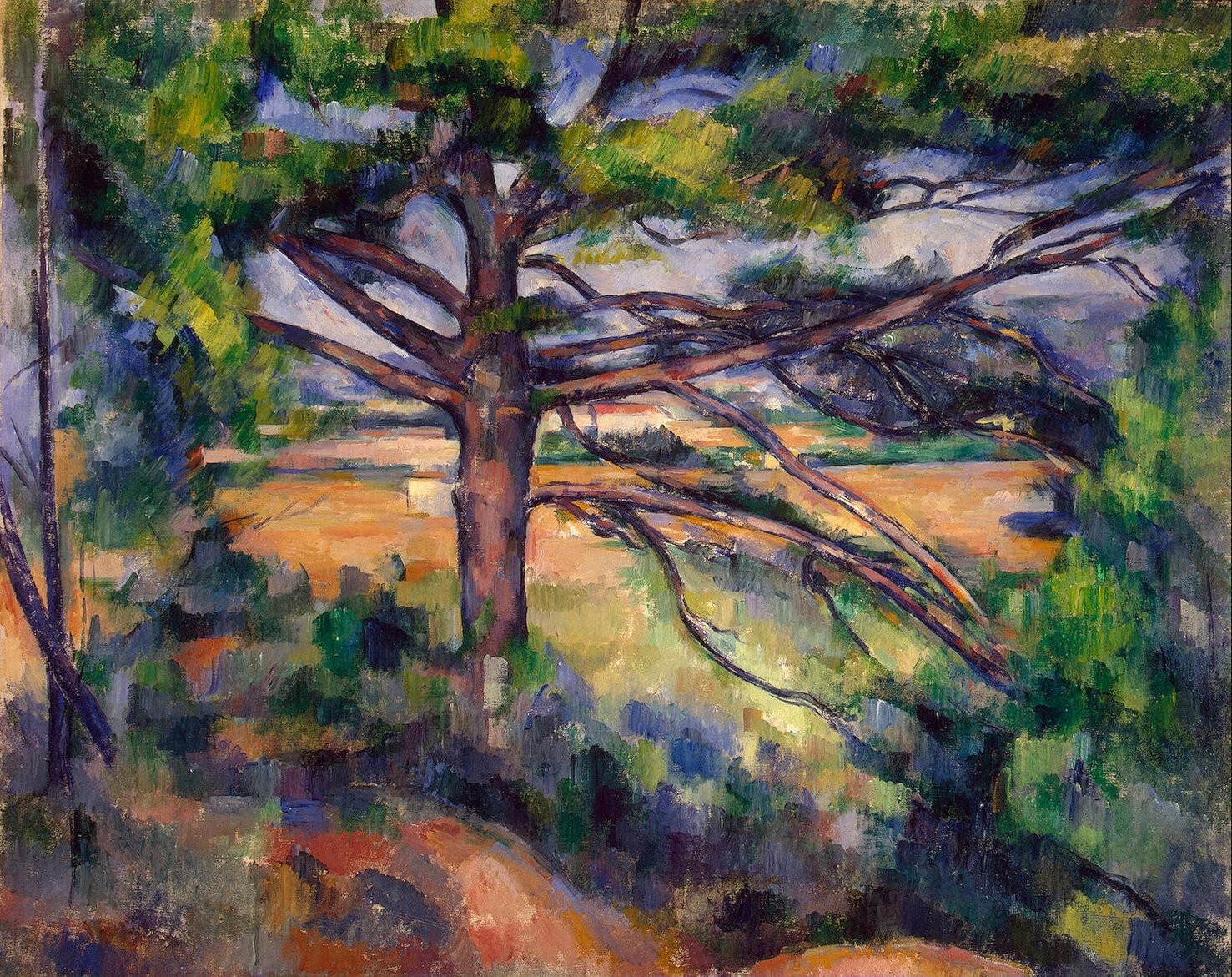 Large Pine and Red Earth (1895) Paul Cézanne tablo - Dekolata