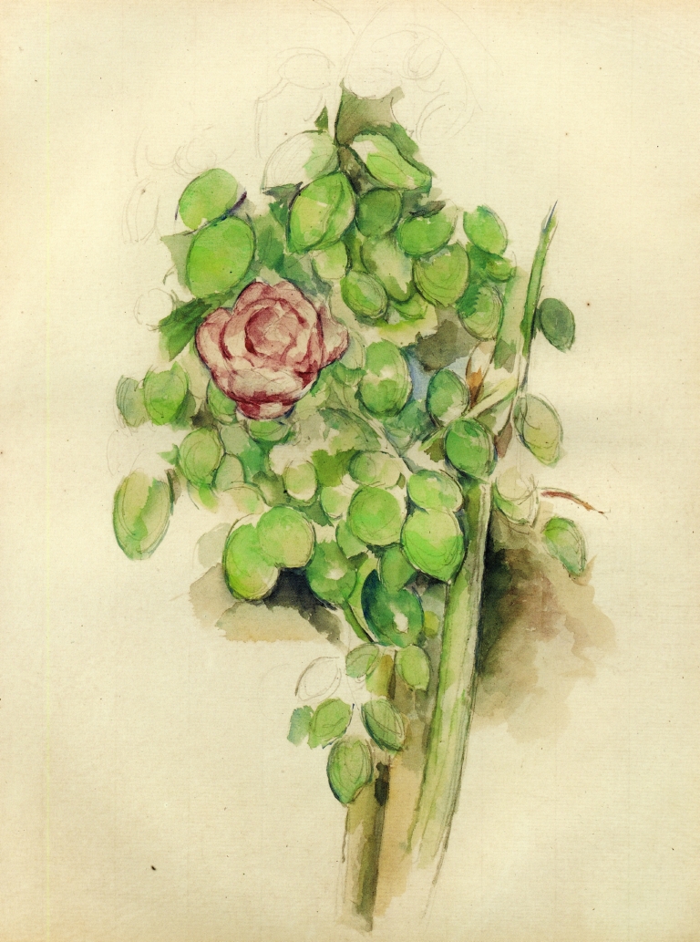 Rose Bush (1888) Paul Cézanne tablo - Dekolata