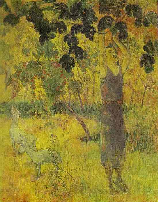 Man Picking Fruit from a Tree (1897) Paul Gauguin tablo - Dekolata