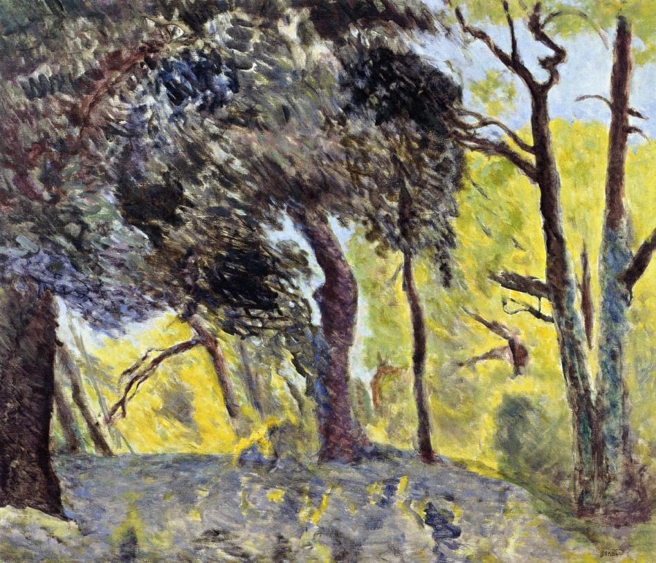 In the Woods (study) (1923) Pierre Bonnard tablo - Dekolata