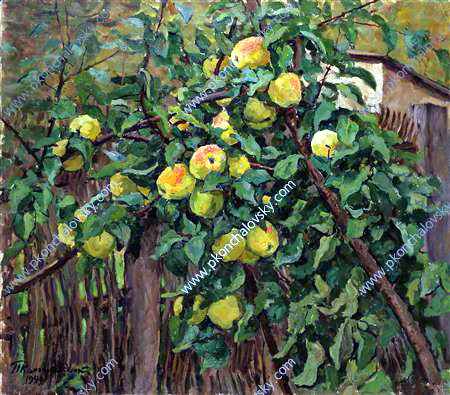 Apple tree by the fence (1949) Pyotr Konchalovsky tablo - Dekolata