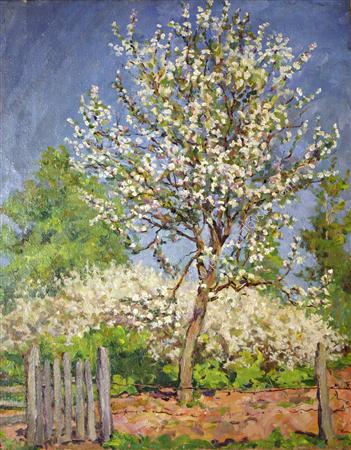 Apple tree in bloom (1953) Pyotr Konchalovsky tablo - Dekolata