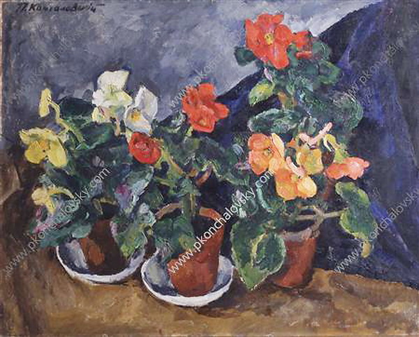 Begonias (1915) Pyotr Konchalovsky tablo - Dekolata