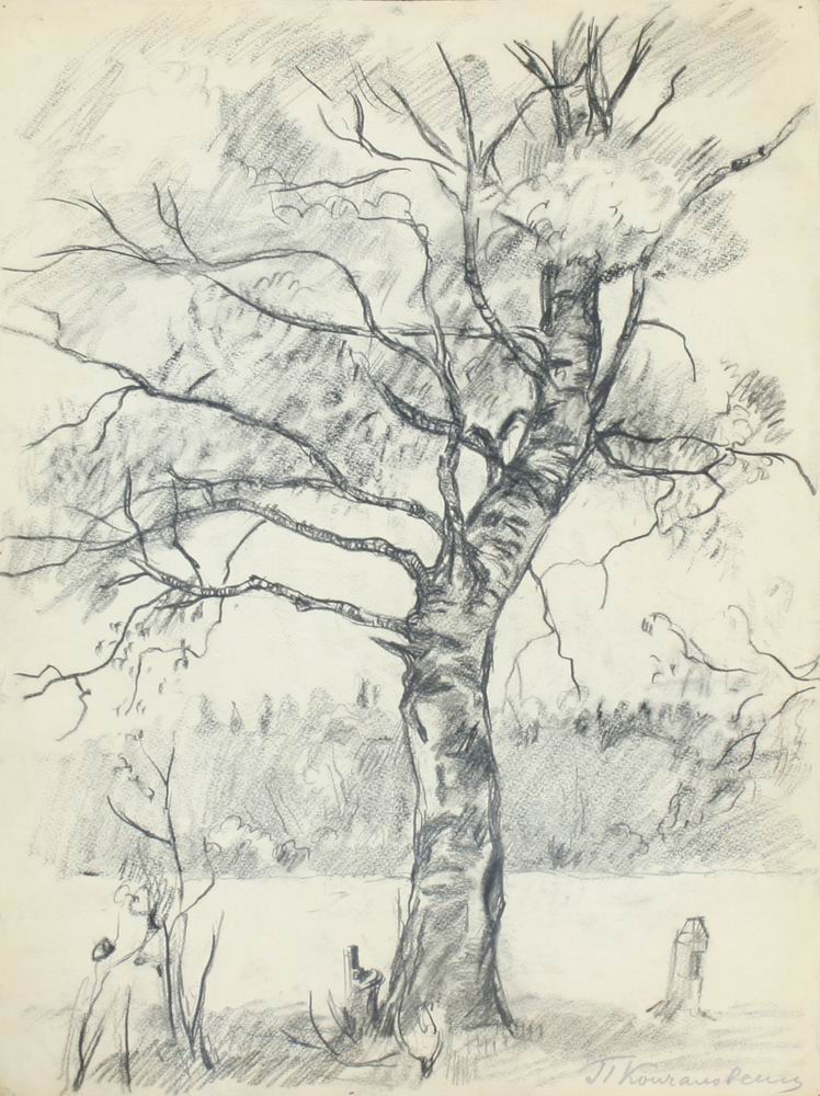 Birch tree (1926) Pyotr Konchalovsky tablo - Dekolata