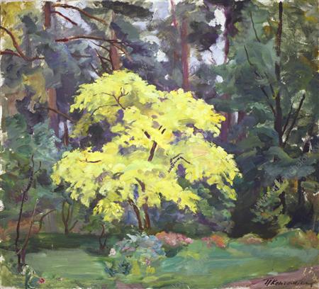 Corkwood (1935) Pyotr Konchalovsky tablo - Dekolata