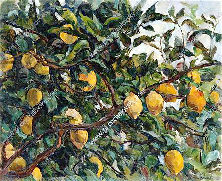 Italy. Lemons on the branches. (1924) Pyotr Konchalovsky tablo - Dekolata