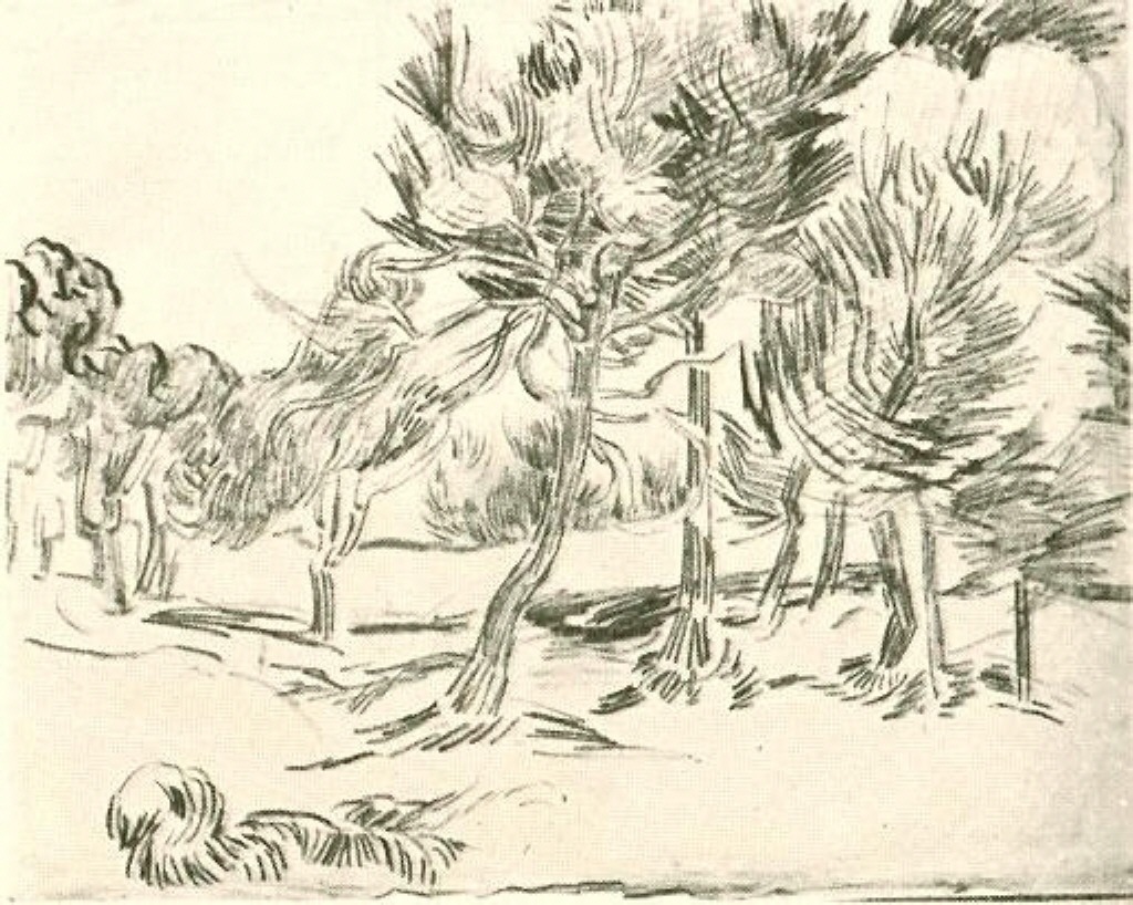 A Group of Pine Trees (1889) Vincent van Gogh tablo - Dekolata