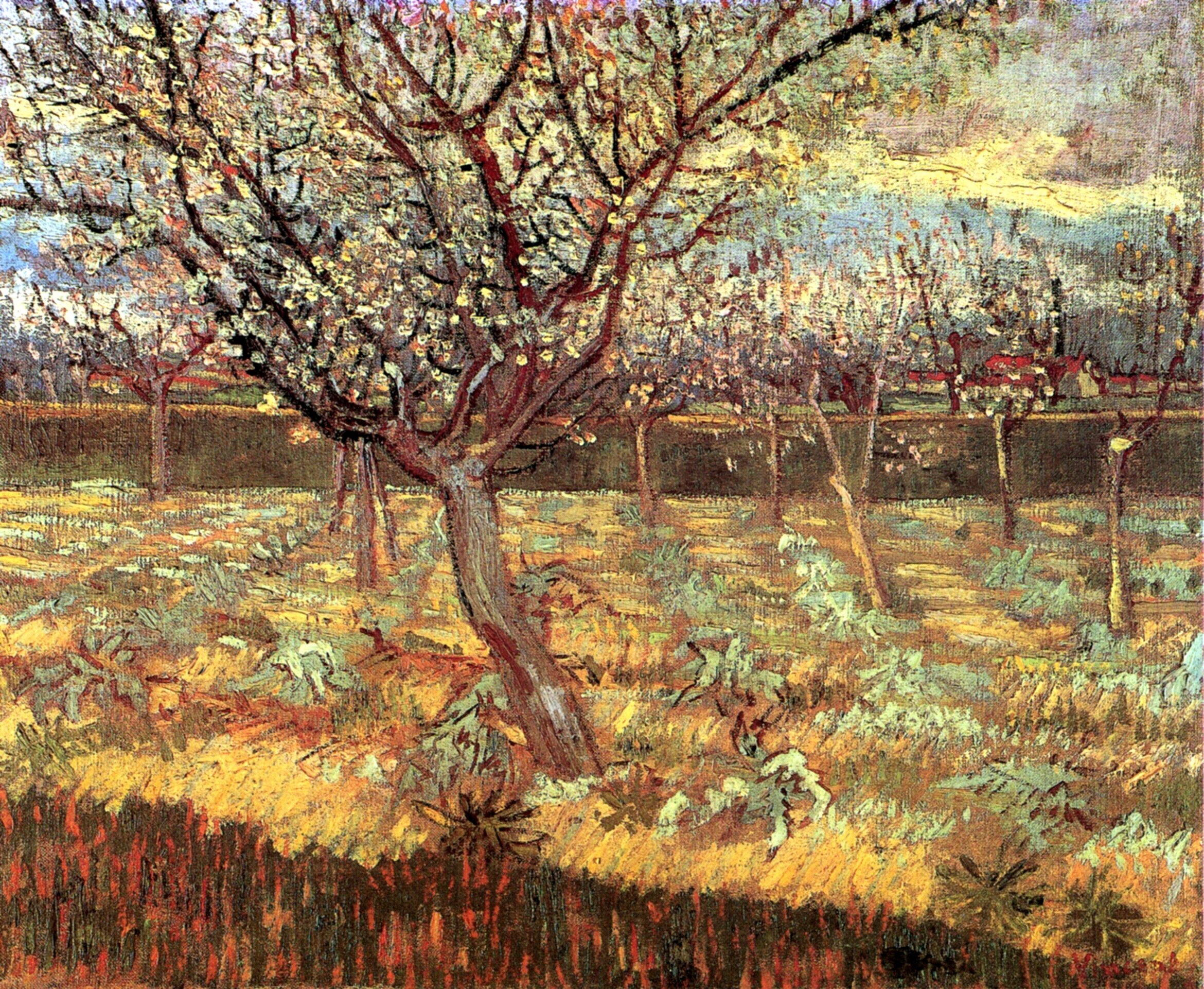 Apricot Trees in Blossom (1888) Vincent van Gogh tablo - Dekolata