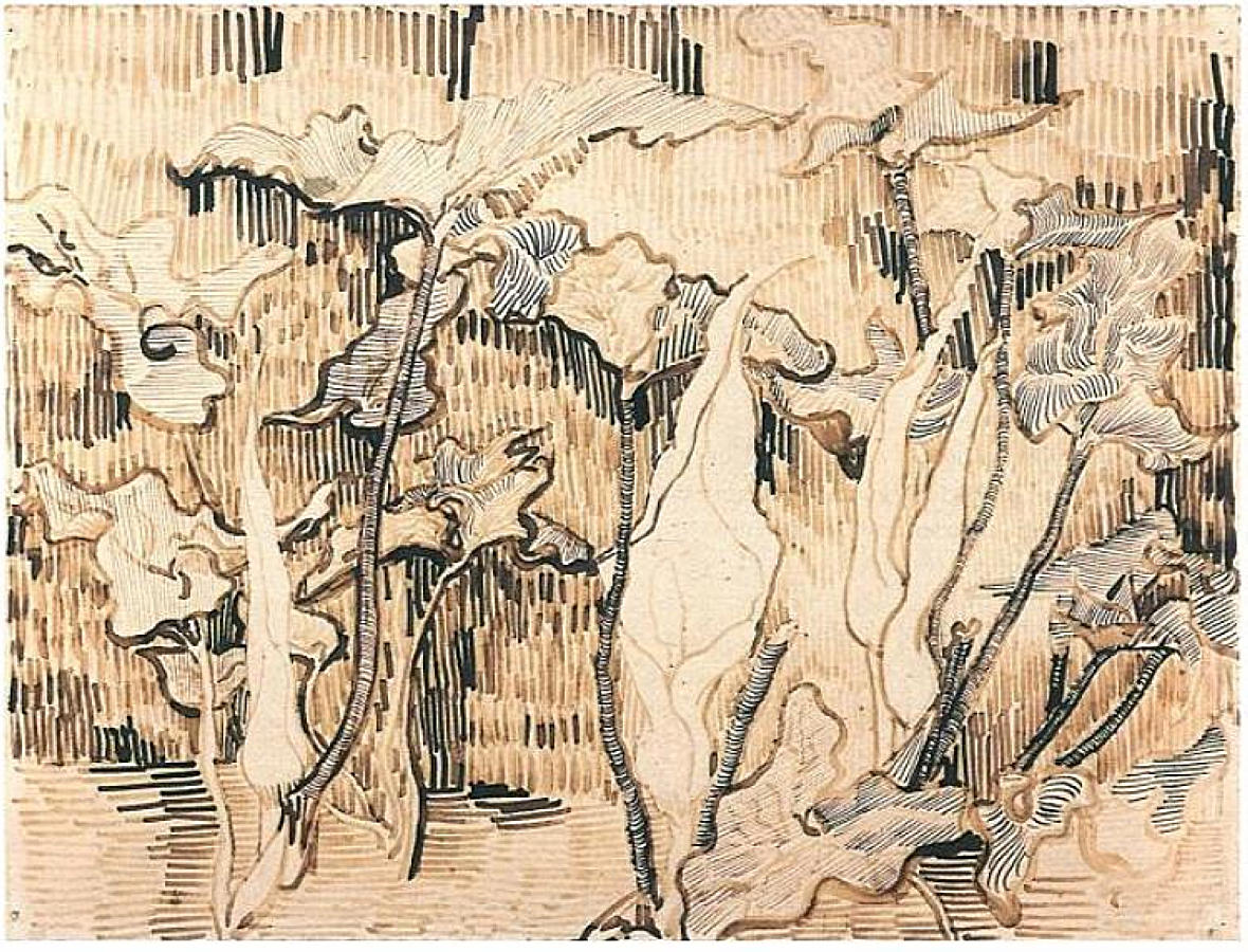 Arums (1889) Vincent van Gogh tablo - Dekolata