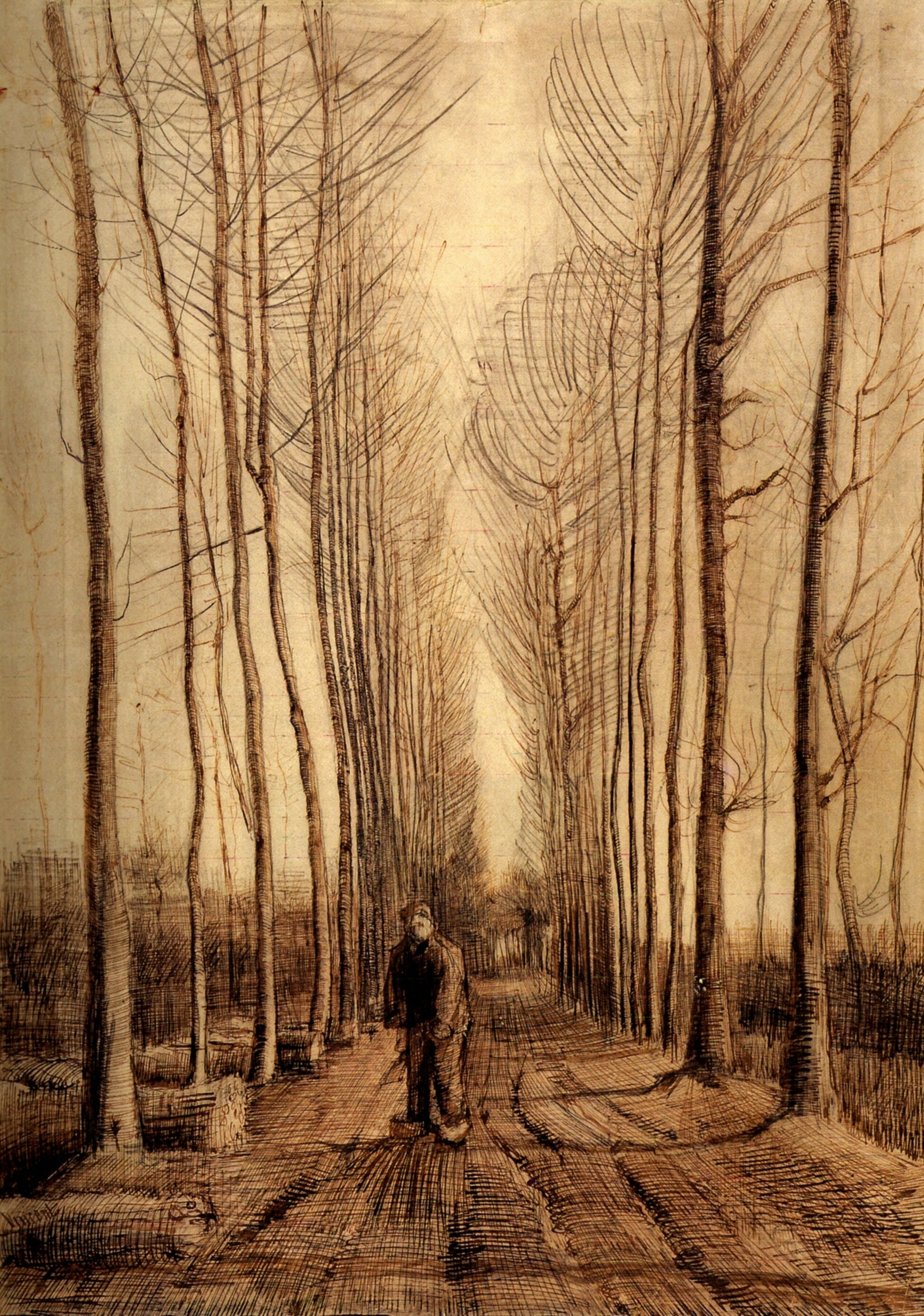 Avenue of Poplars (1884) Vincent van Gogh tablo - Dekolata