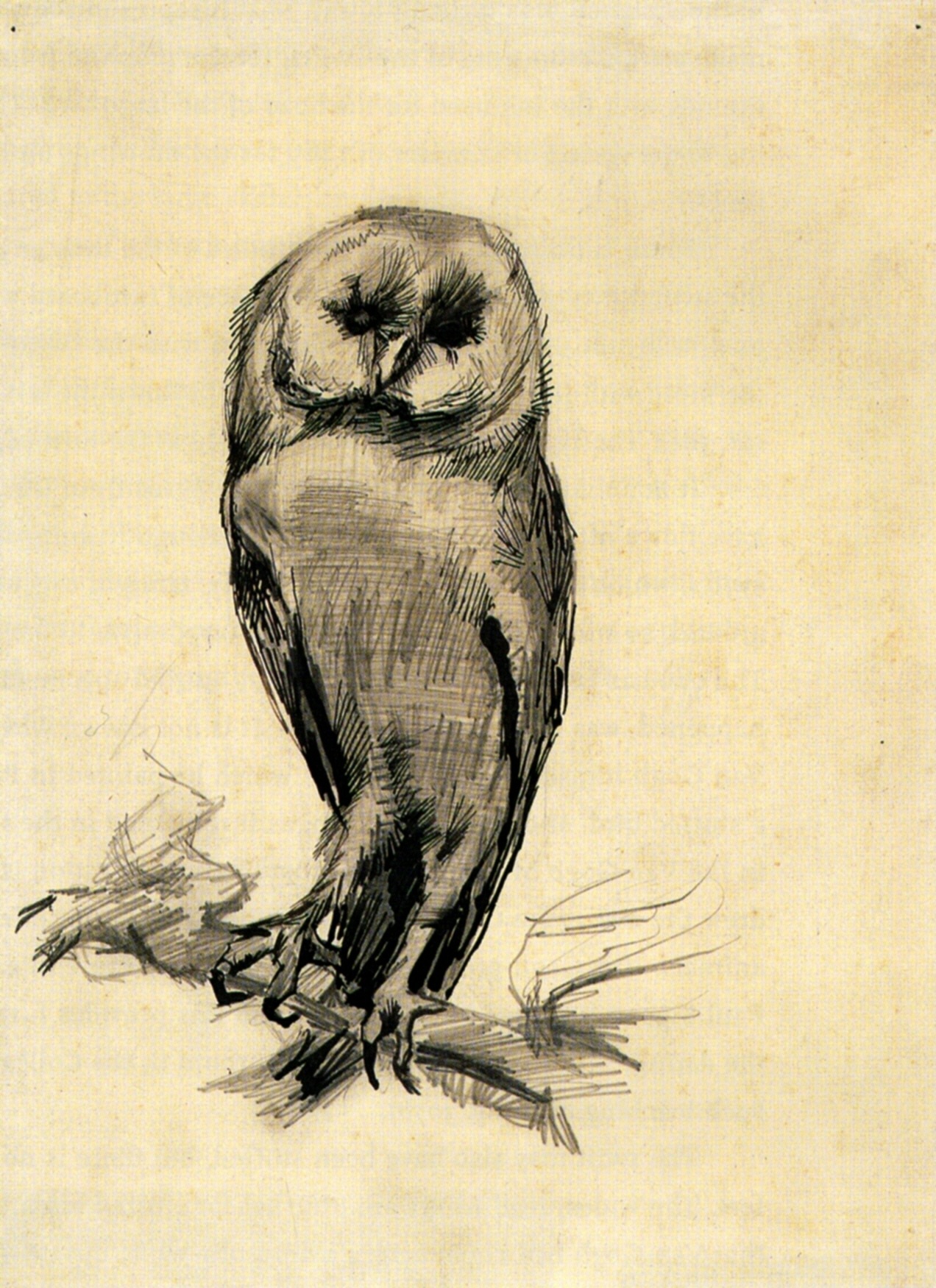 Barn Owl Viewed from the Front (1887) Vincent van Gogh tablo - Dekolata