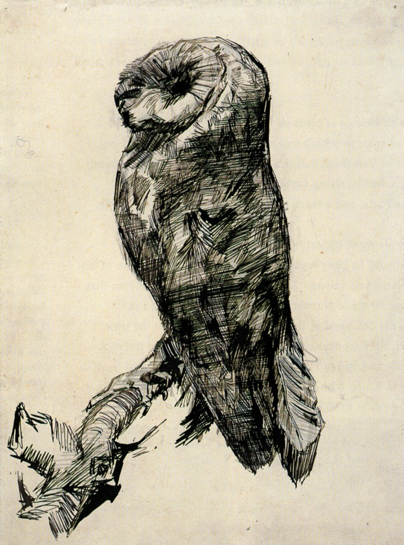 Barn Owl Viewed from the Side (1887) Vincent van Gogh tablo - Dekolata