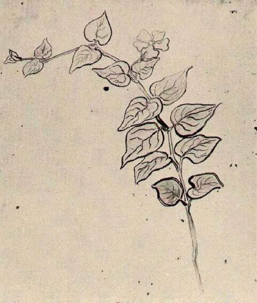 Branch with Leaves (1890) – Vincent van Gogh Tablo