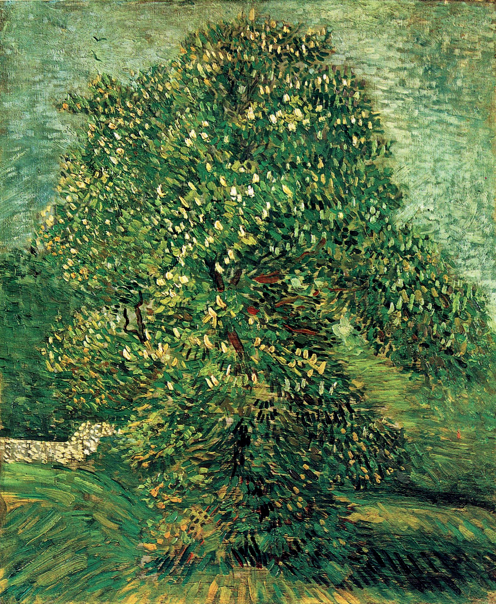 Chestnut Tree in Blossom (1887) Vincent van Gogh tablo - Dekolata