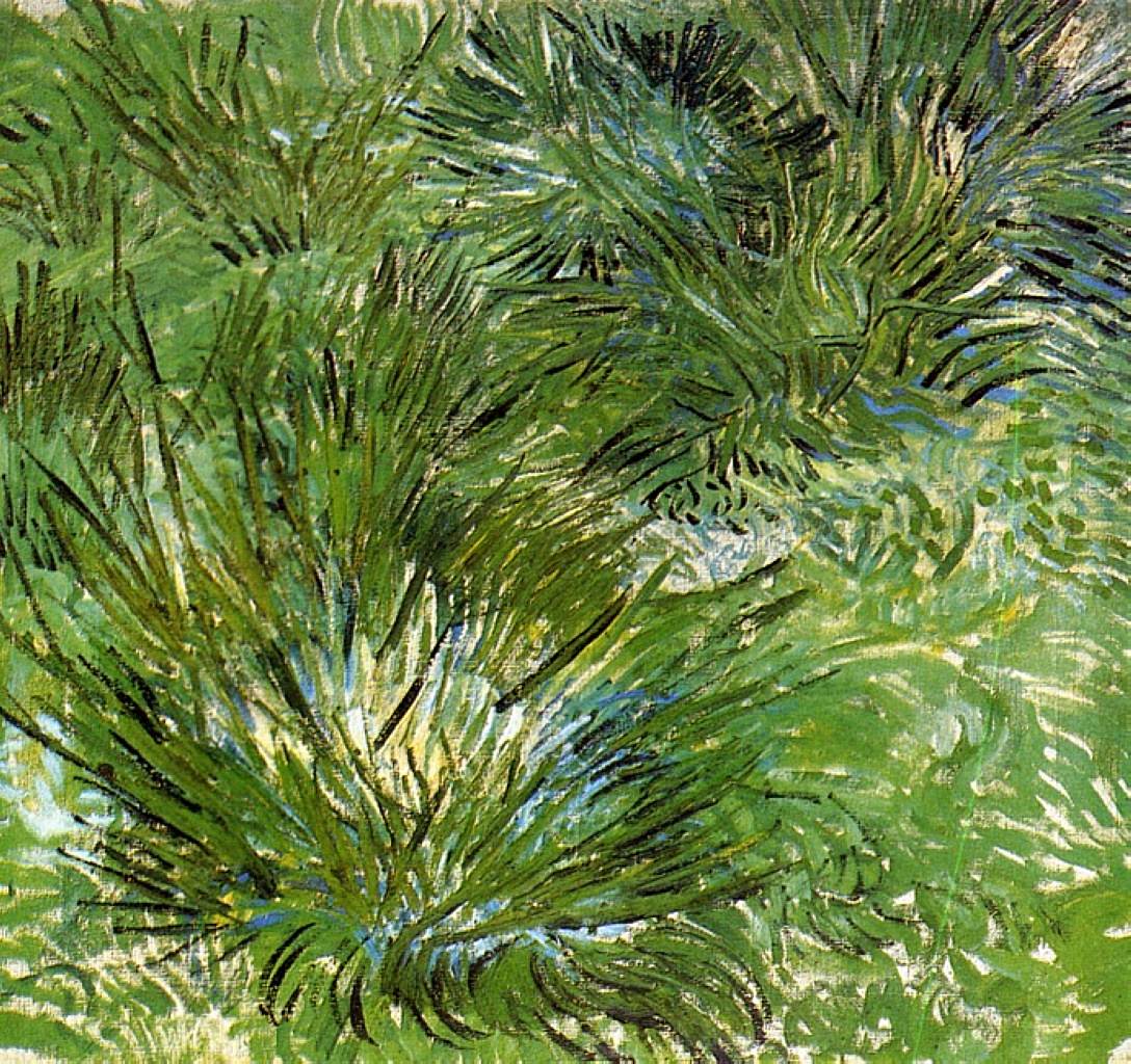 Clumps of Grass (1889) Vincent van Gogh tablo - Dekolata