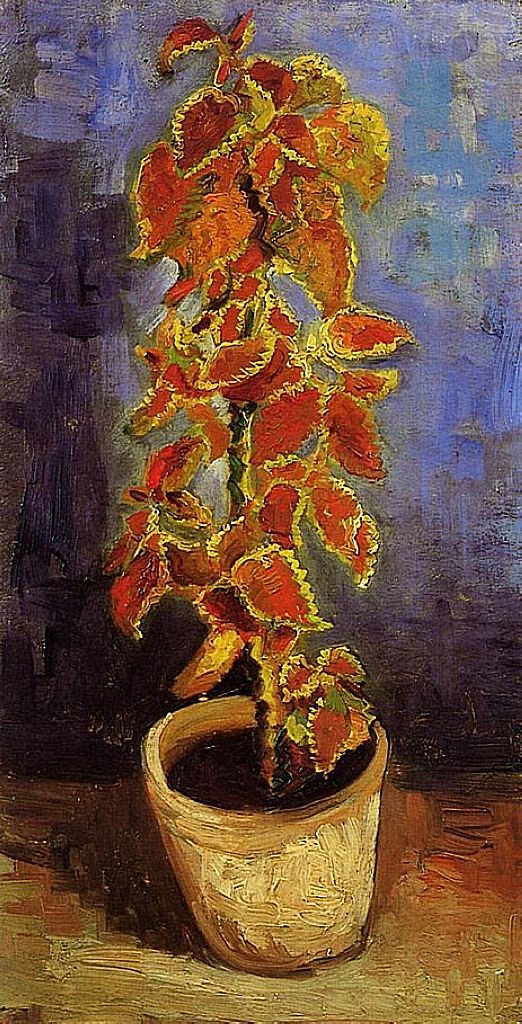 Coleus Plant in a Flowerpot (1886) Vincent van Gogh tablo - Dekolata