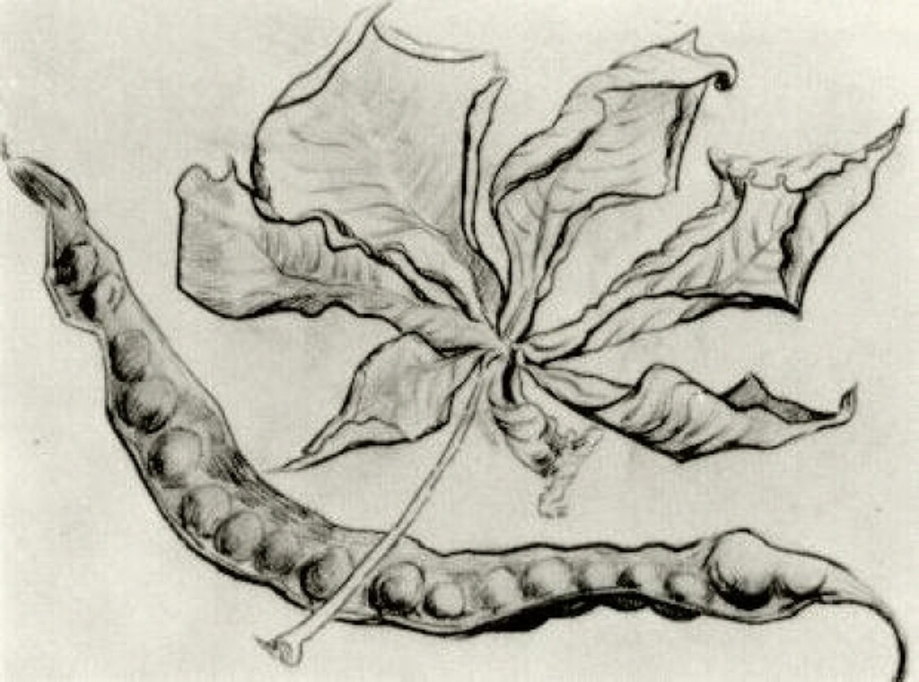 Dead Leaf and Pod (1890) Vincent van Gogh tablo - Dekolata