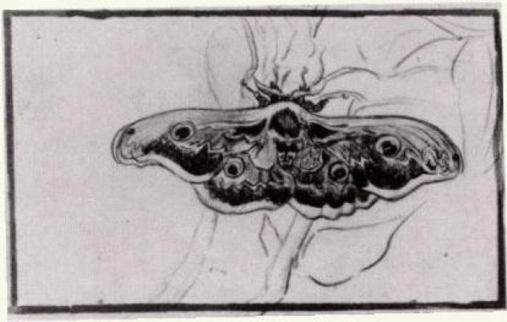Death's Head Moth (1889) Vincent van Gogh tablo - Dekolata
