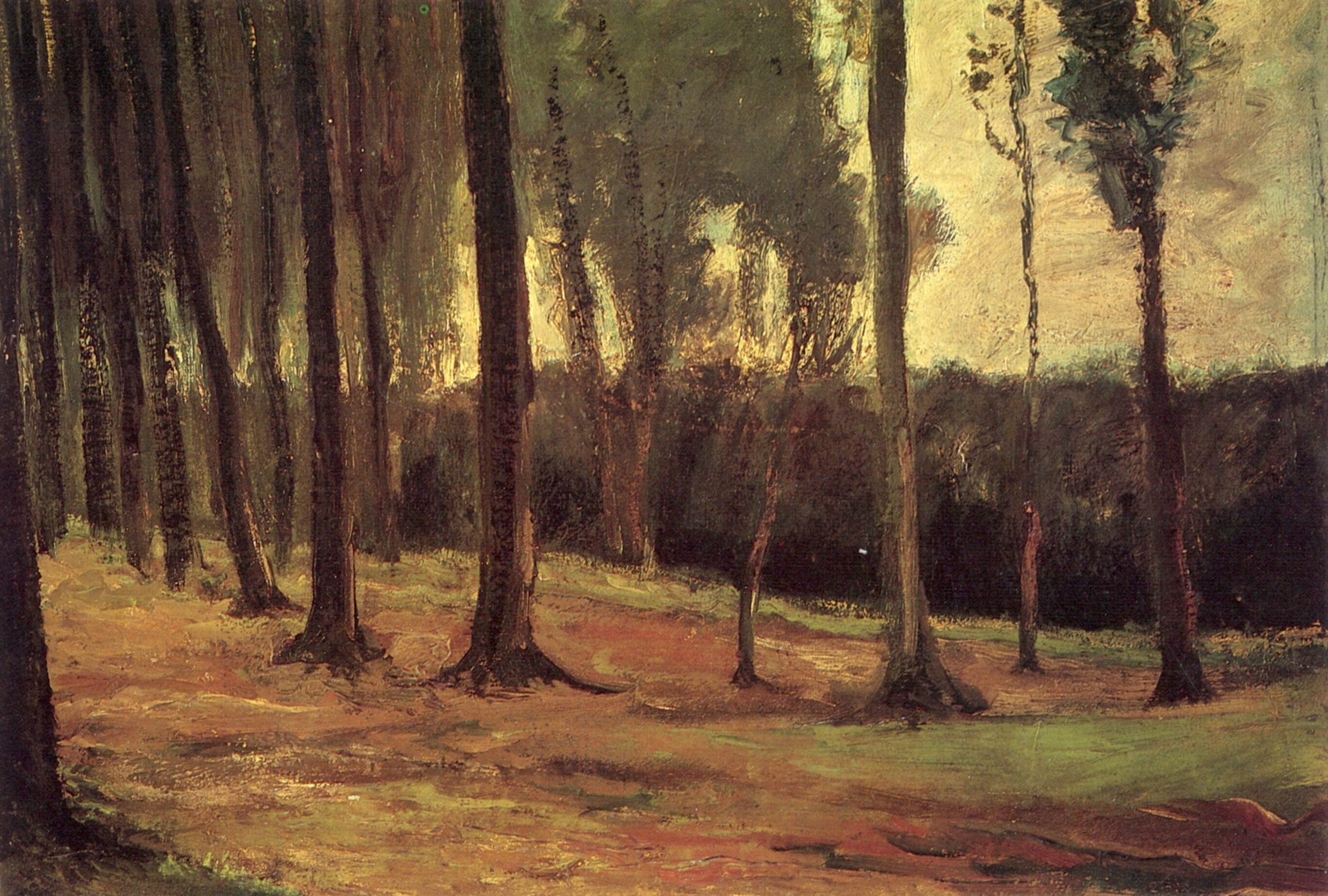 Edge of a Wood (1882) Vincent van Gogh tablo - Dekolata