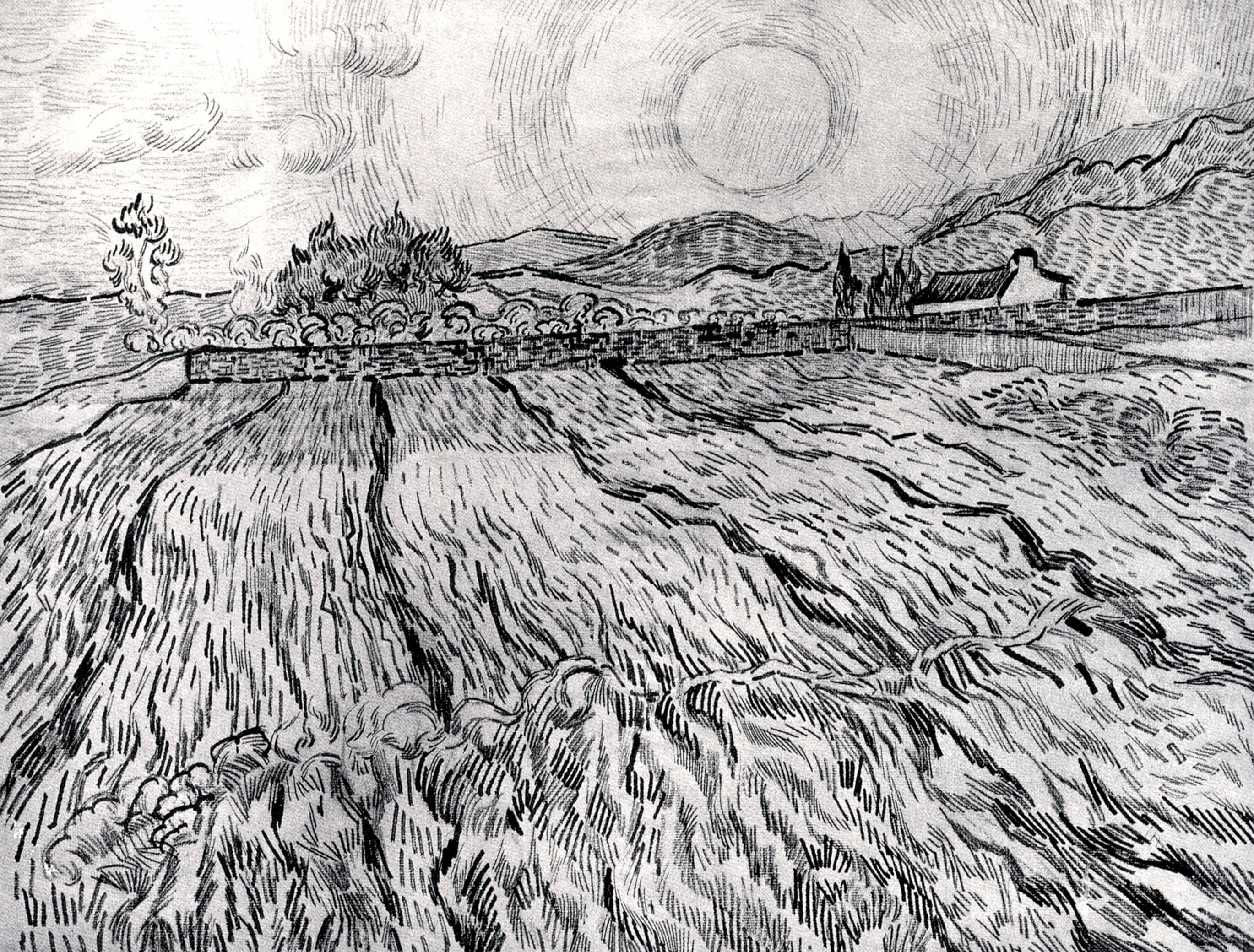 Enclosed Field behind Saint Paul Hospital (1889) Vincent van Gogh tablo - Dekolata