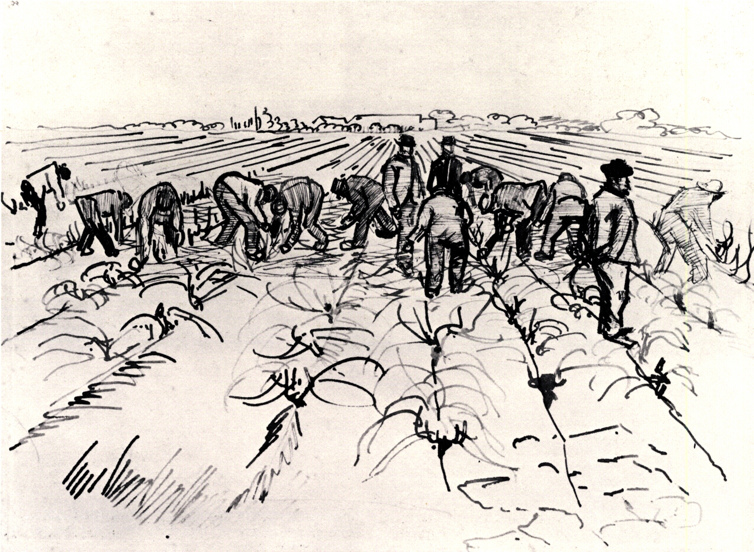 Farmers Working in the Field (1888) Vincent van Gogh tablo - Dekolata
