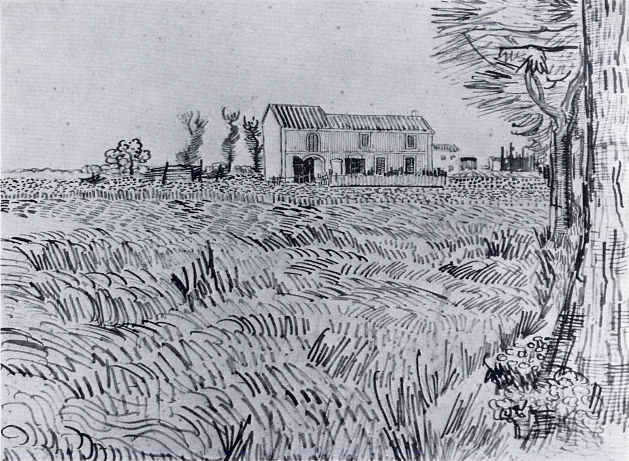 Farmhouse in a Wheat Field (1888) Vincent van Gogh tablo - Dekolata