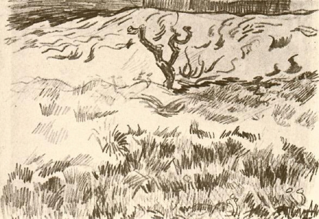 Field with Bare Tree (1889) Vincent van Gogh tablo - Dekolata