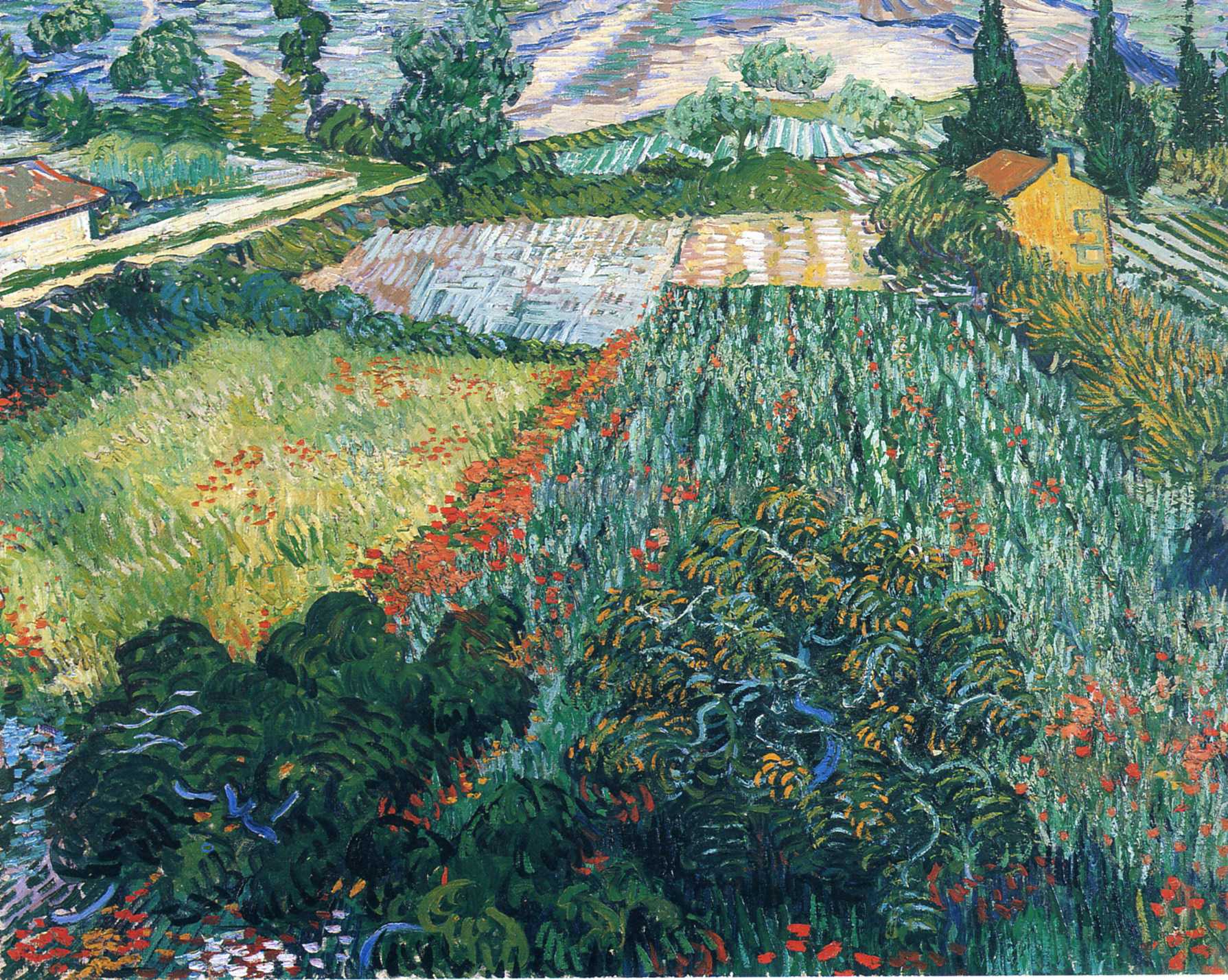 Field with Poppies (1889) Vincent van Gogh tablo - Dekolata