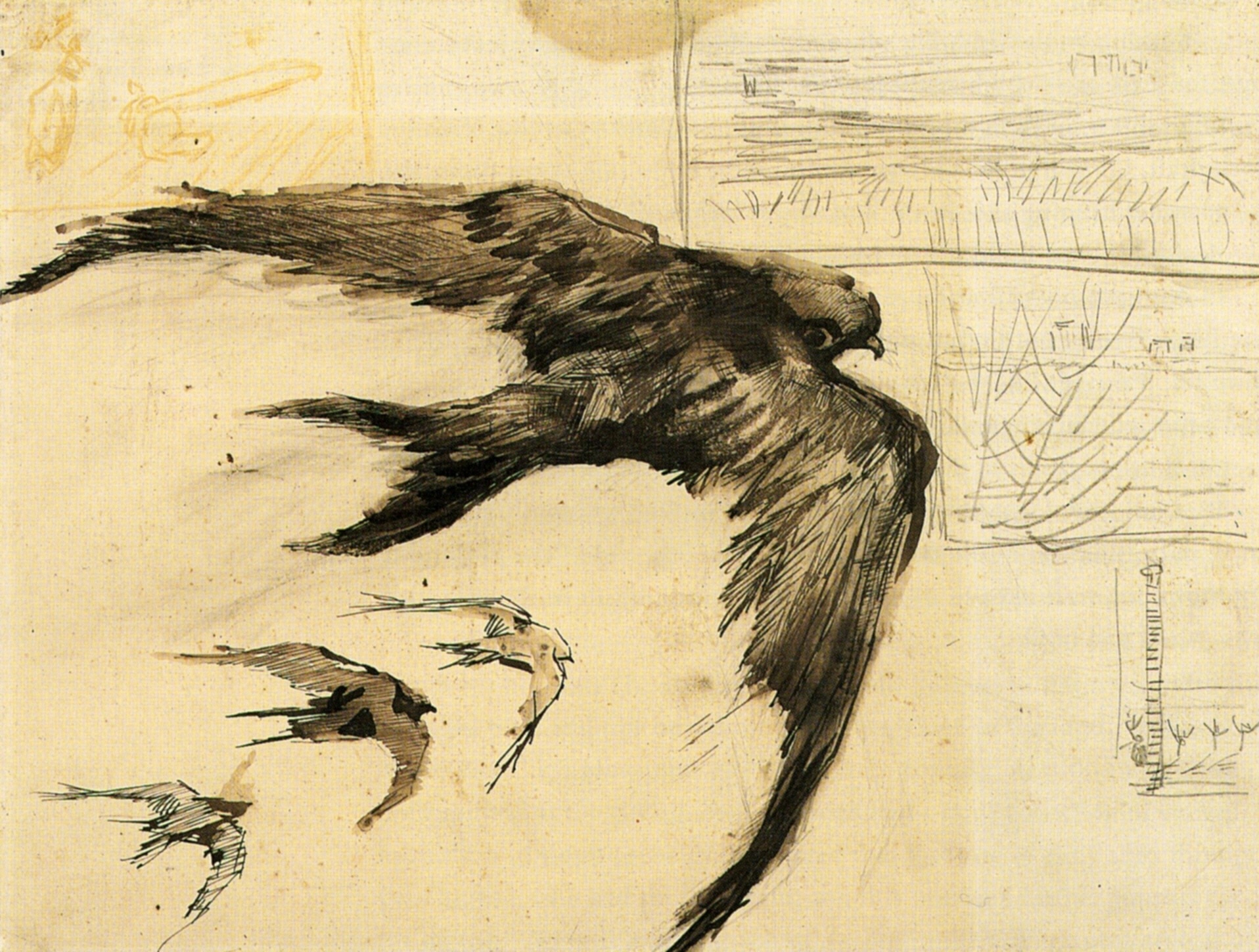 Four Swifts with Landscape Sketches (1887) Vincent van Gogh tablo - Dekolata