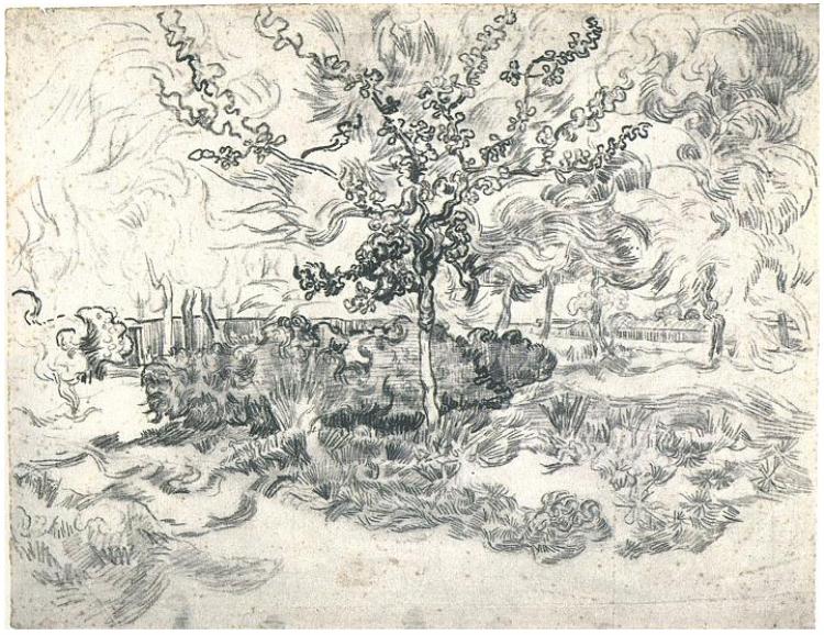 Garden of the Asylum (1889) Vincent van Gogh tablo - Dekolata