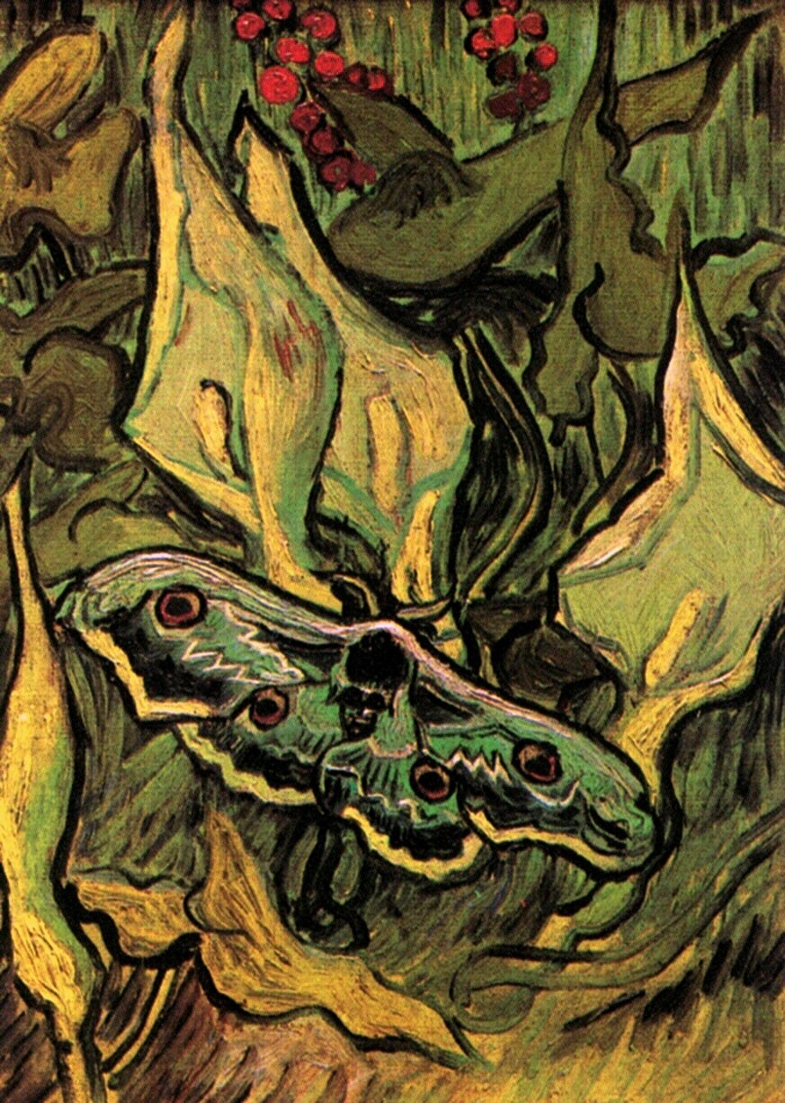 Great Peacock Moth (1889) Vincent van Gogh tablo - Dekolata