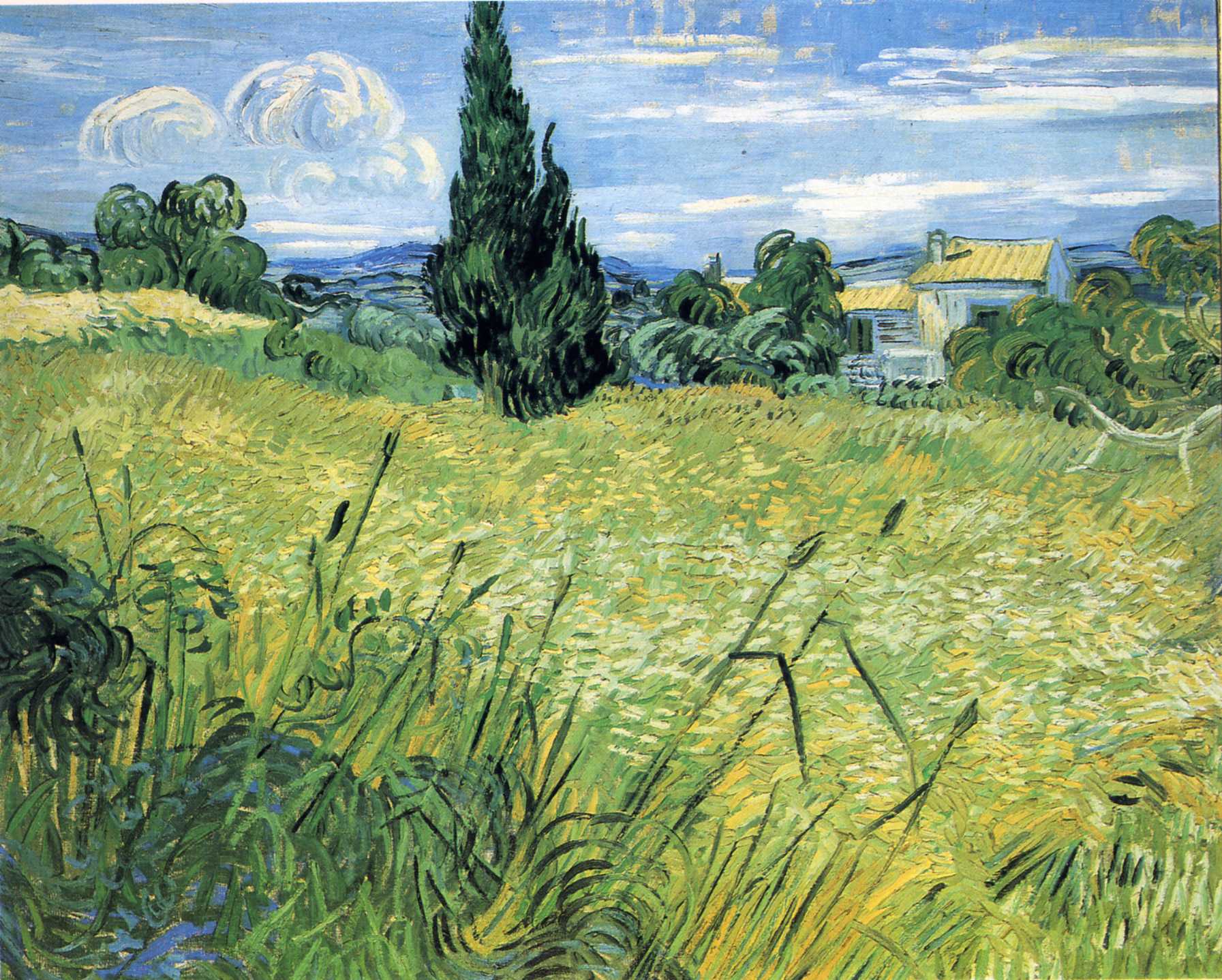 Green Wheat Field with Cypress (1889) Vincent van Gogh tablo - Dekolata