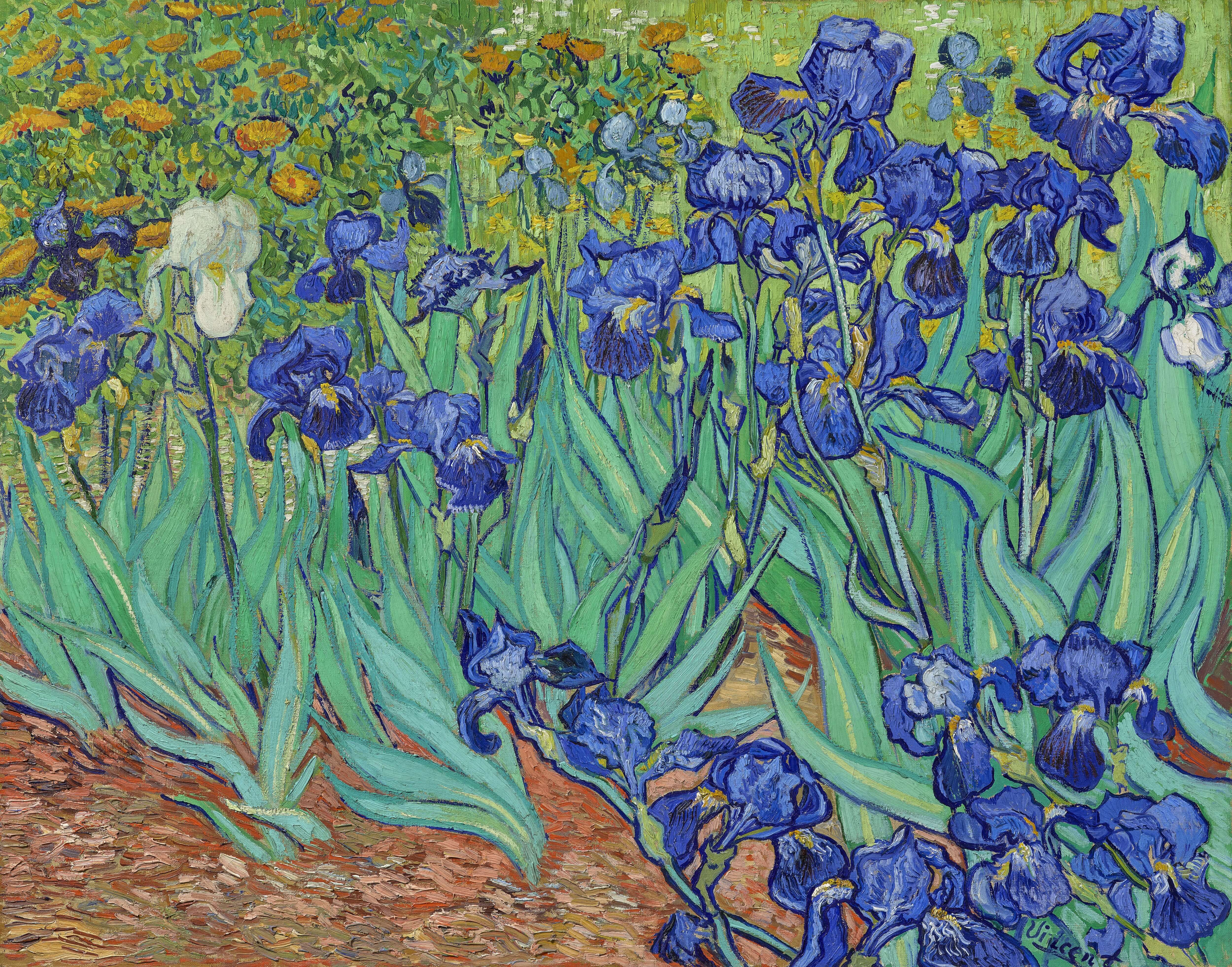Irises (1889) Vincent van Gogh tablo - Dekolata