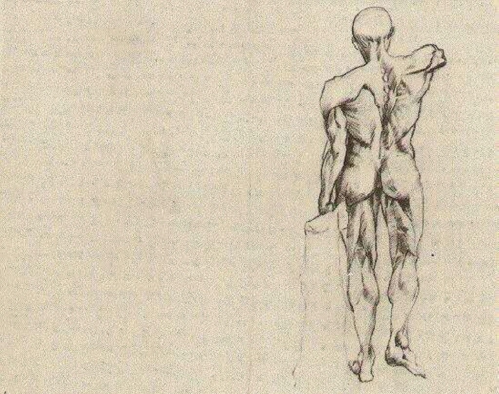 L'Ecorche (1887) Vincent van Gogh tablo - Dekolata