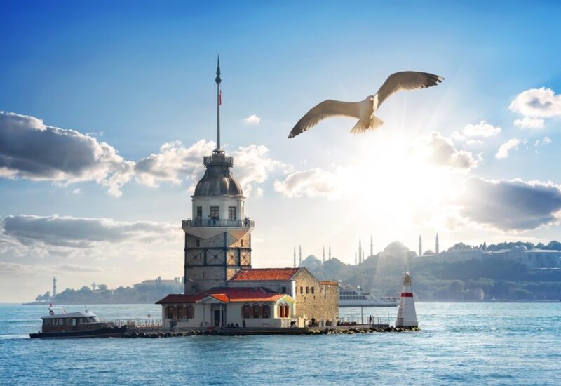 Kız Kulesi ve Martı Tablo