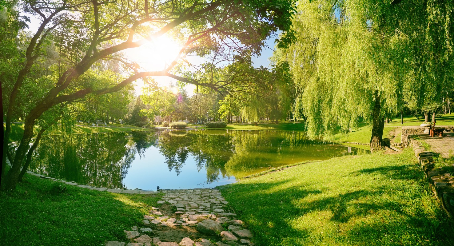 Sakin Göl ve Gün Işığı Park Manzarası Tablo - Dekolata