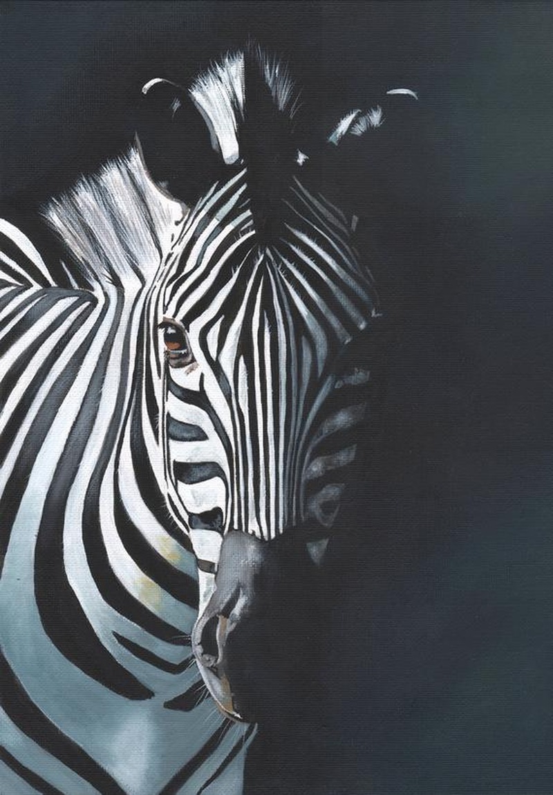 Siyah Beyaz Zebra Portresi Tablo - Dekolata